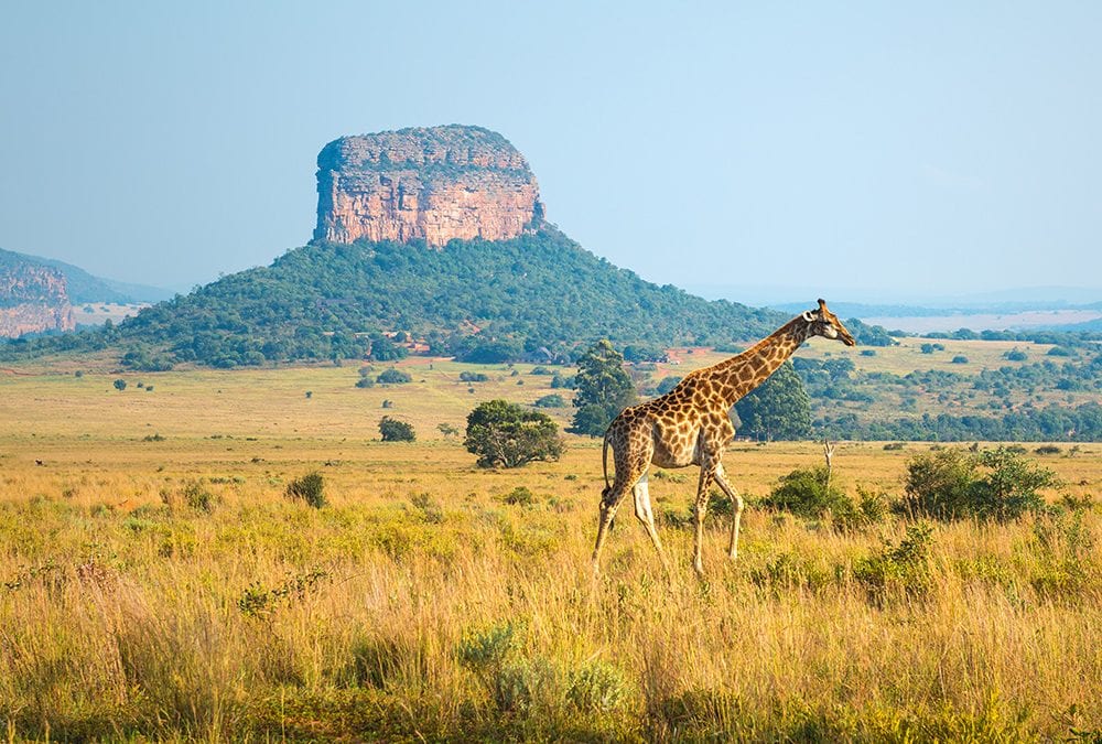 Conheça a África e seus destinos impressionantes