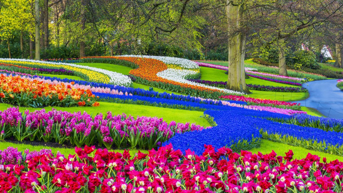 Conheça os mais belos jardins europeus