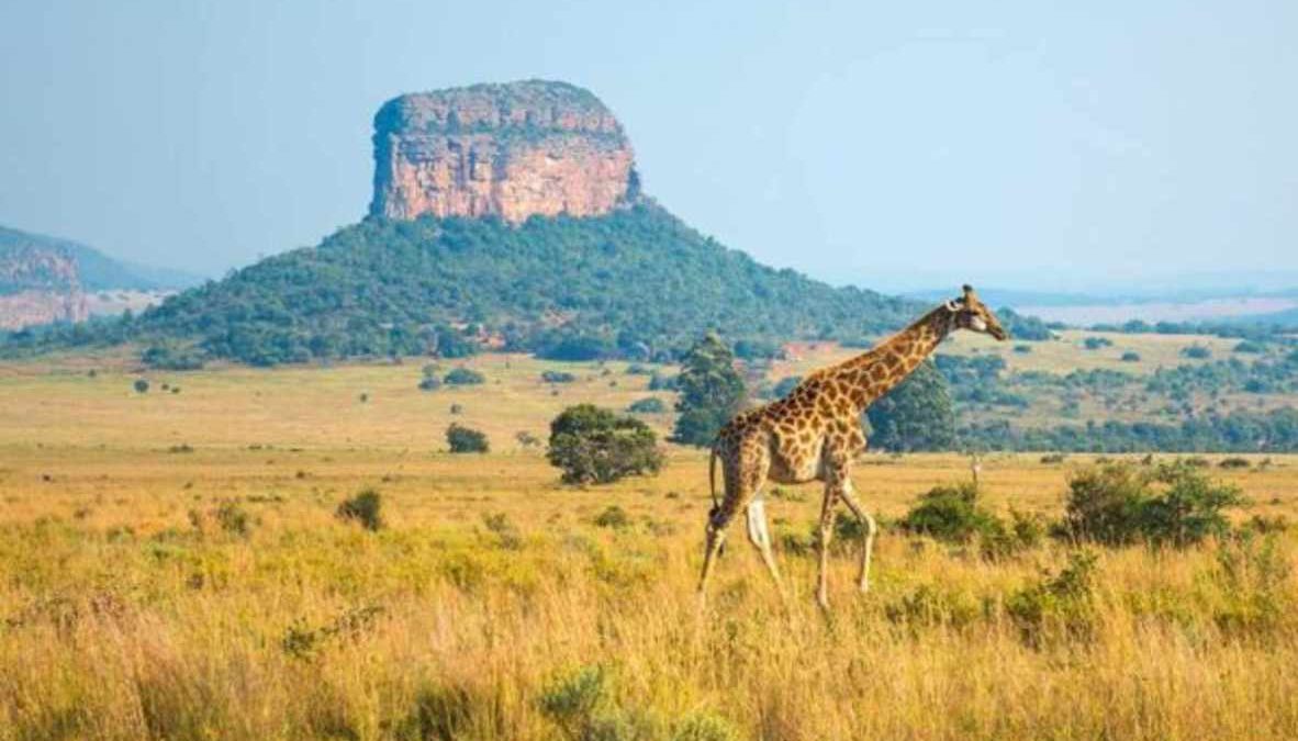 Conheça a África e seus destinos impressionantes